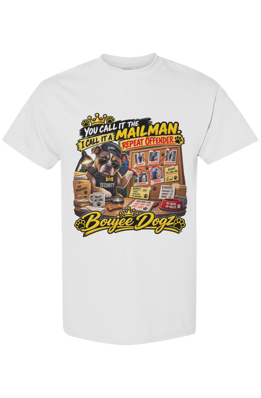 You Call It The Mailman - back